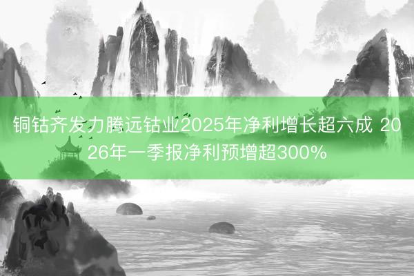 铜钴齐发力腾远钴业2025年净利增长超六成 2026年一季报净利预增超300%