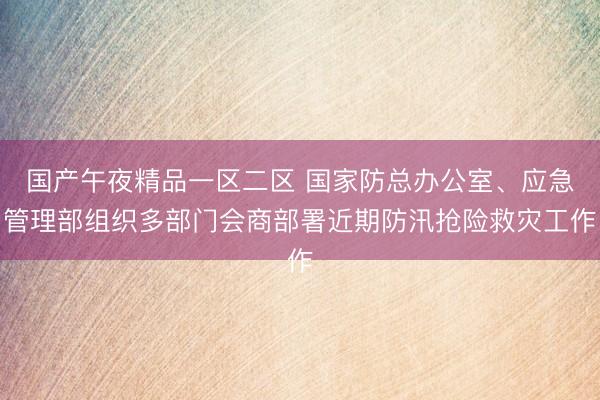 国产午夜精品一区二区 国家防总办公室、应急管理部组织多部门会商部署近期防汛抢险救灾工作