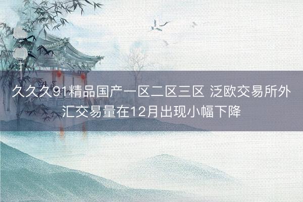 久久久91精品国产一区二区三区 泛欧交易所外汇交易量在12月出现小幅下降