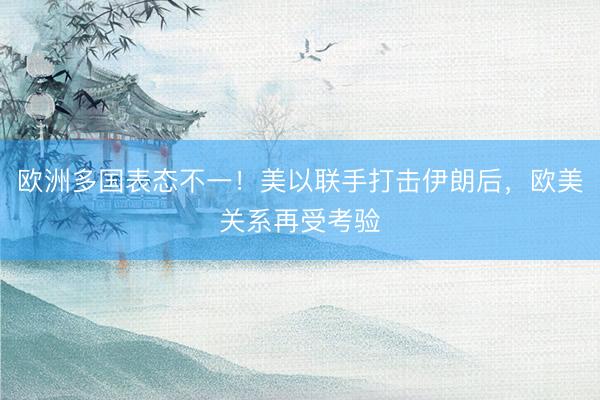 欧洲多国表态不一！美以联手打击伊朗后，欧美关系再受考验