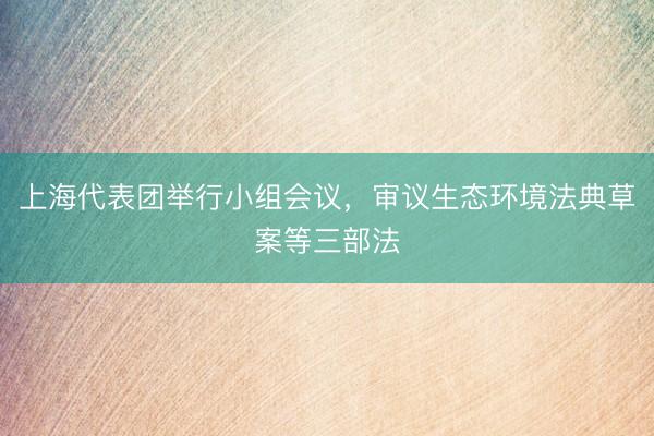 上海代表团举行小组会议，审议生态环境法典草案等三部法