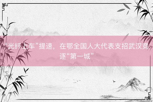 “光纤上车”提速，在鄂全国人大代表支招武汉竞逐“第一城”