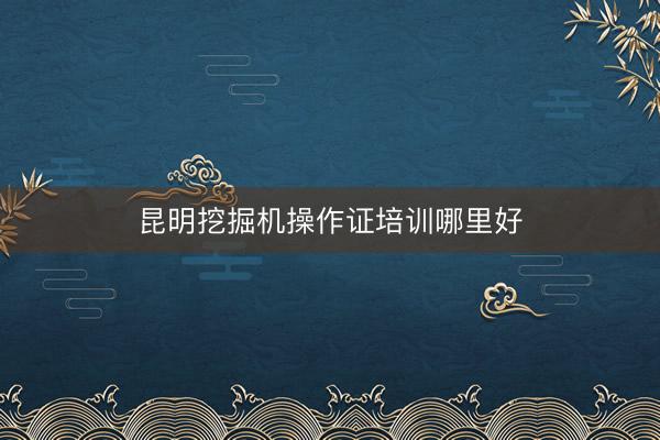 昆明挖掘机操作证培训哪里好