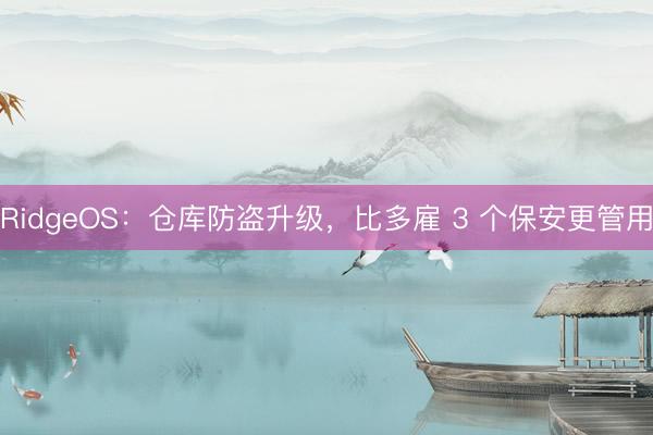 RidgeOS：仓库防盗升级，比多雇 3 个保安更管用