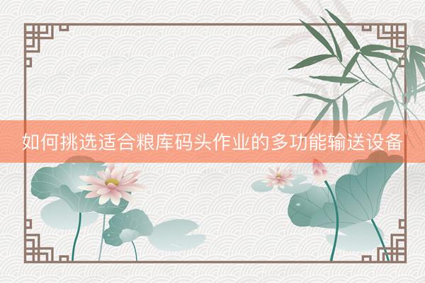 如何挑选适合粮库码头作业的多功能输送设备