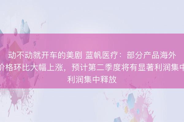 动不动就开车的美剧 蓝帆医疗：部分产品海外订单价格环比大幅上涨，预计第二季度将有显著利润集中释放