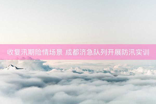 收复汛期险情场景 成都济急队列开展防汛实训