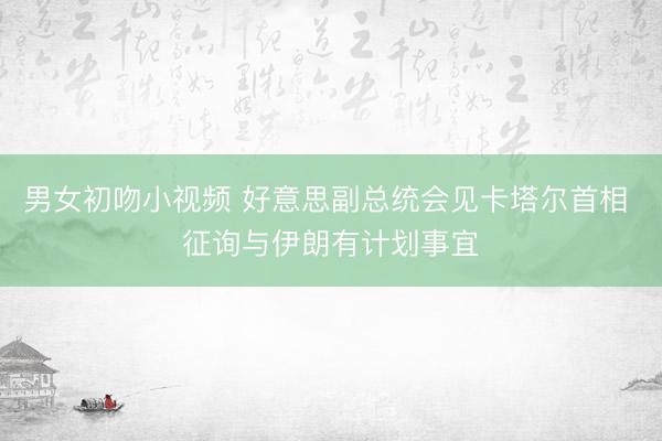 男女初吻小视频 好意思副总统会见卡塔尔首相 征询与伊朗有计划事宜