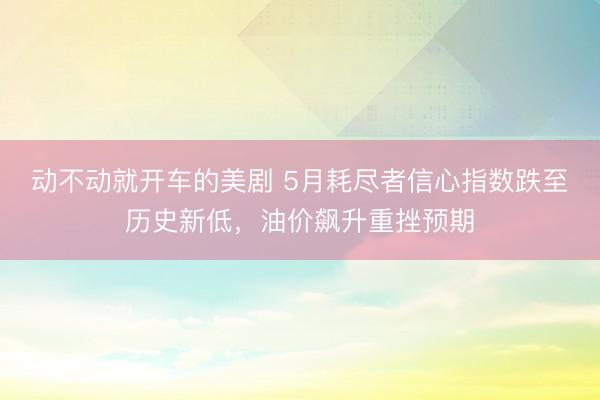 动不动就开车的美剧 5月耗尽者信心指数跌至历史新低，油价飙升重挫预期