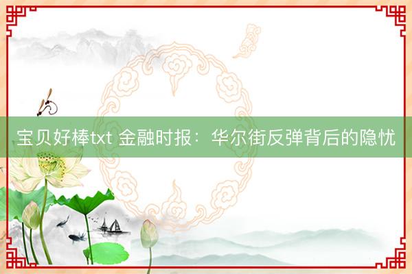 宝贝好棒txt 金融时报：华尔街反弹背后的隐忧