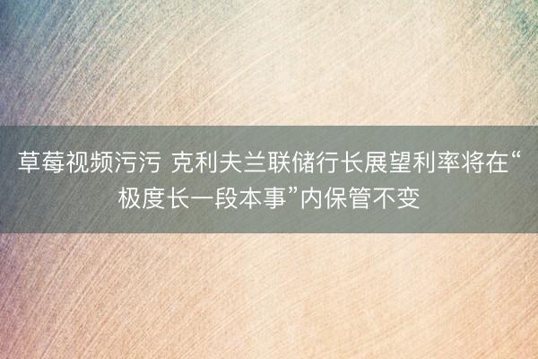 草莓视频污污 克利夫兰联储行长展望利率将在“极度长一段本事”内保管不变