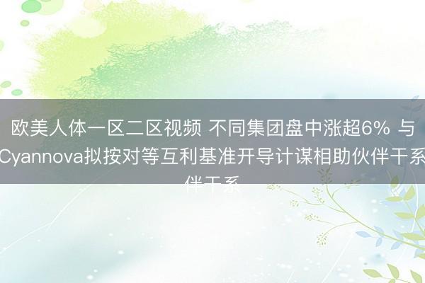 欧美人体一区二区视频 不同集团盘中涨超6% 与Cyannova拟按对等互利基准开导计谋相助伙伴干系