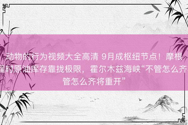 动物的行为视频大全高清 9月成枢纽节点！摩根大通：届时原油库存靠拢极限，霍尔木兹海峡“不管怎么齐将重开”