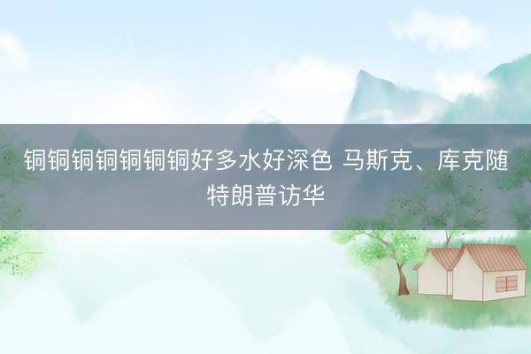 铜铜铜铜铜铜铜好多水好深色 马斯克、库克随特朗普访华