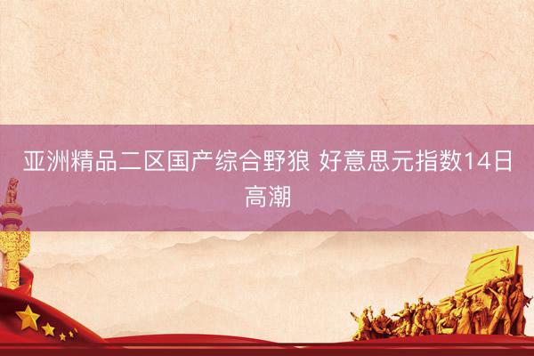 亚洲精品二区国产综合野狼 好意思元指数14日高潮