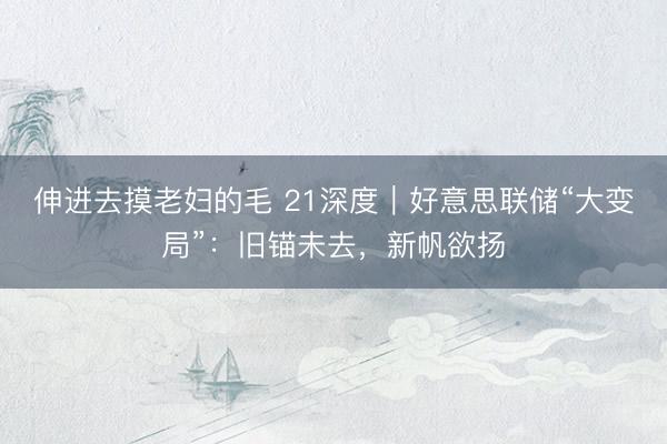 伸进去摸老妇的毛 21深度|好意思联储“大变局”:旧锚未去,新帆欲扬