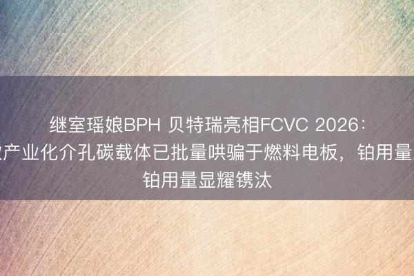 继室瑶娘BPH 贝特瑞亮相FCVC 2026：国内首款产业化介孔碳载体已批量哄骗于燃料电板，铂用量显耀镌汰