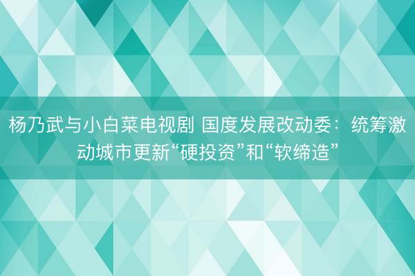 杨乃武与小白菜电视剧 国度发展改动委：统筹激动城市更新“硬投资”和“软缔造”