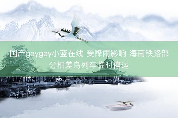 国产gaygay小蓝在线 受降雨影响 海南铁路部分相差岛列车临时停运