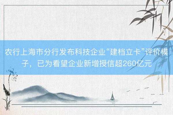 农行上海市分行发布科技企业“建档立卡”评价模子，已为看望企业新增授信超260亿元