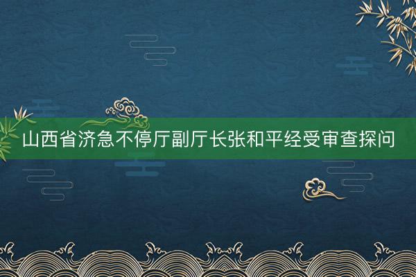 山西省济急不停厅副厅长张和平经受审查探问