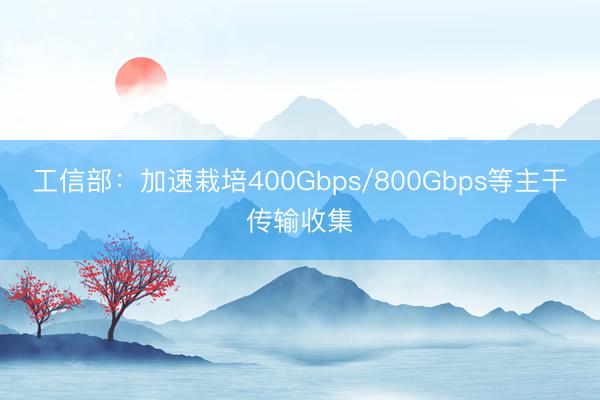 工信部：加速栽培400Gbps/800Gbps等主干传输收集