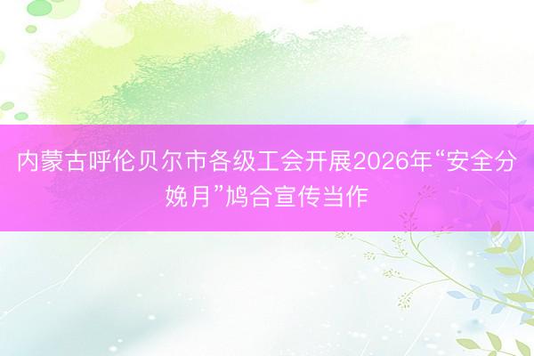 内蒙古呼伦贝尔市各级工会开展2026年“安全分娩月”鸠合宣传当作