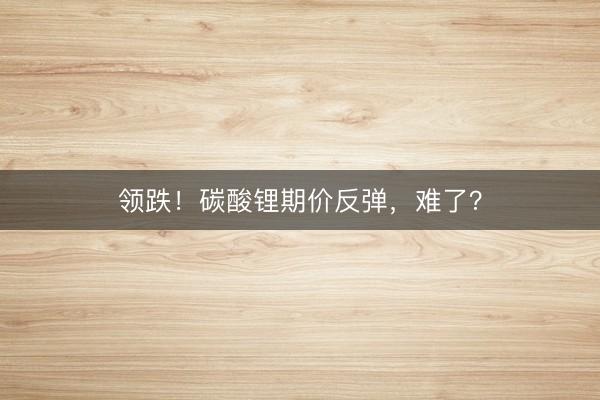 领跌！碳酸锂期价反弹，难了？