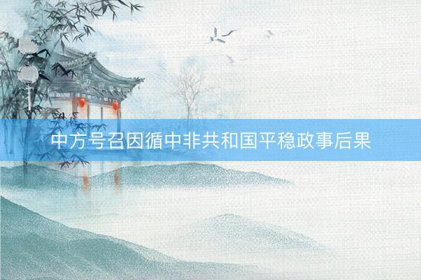 中方号召因循中非共和国平稳政事后果